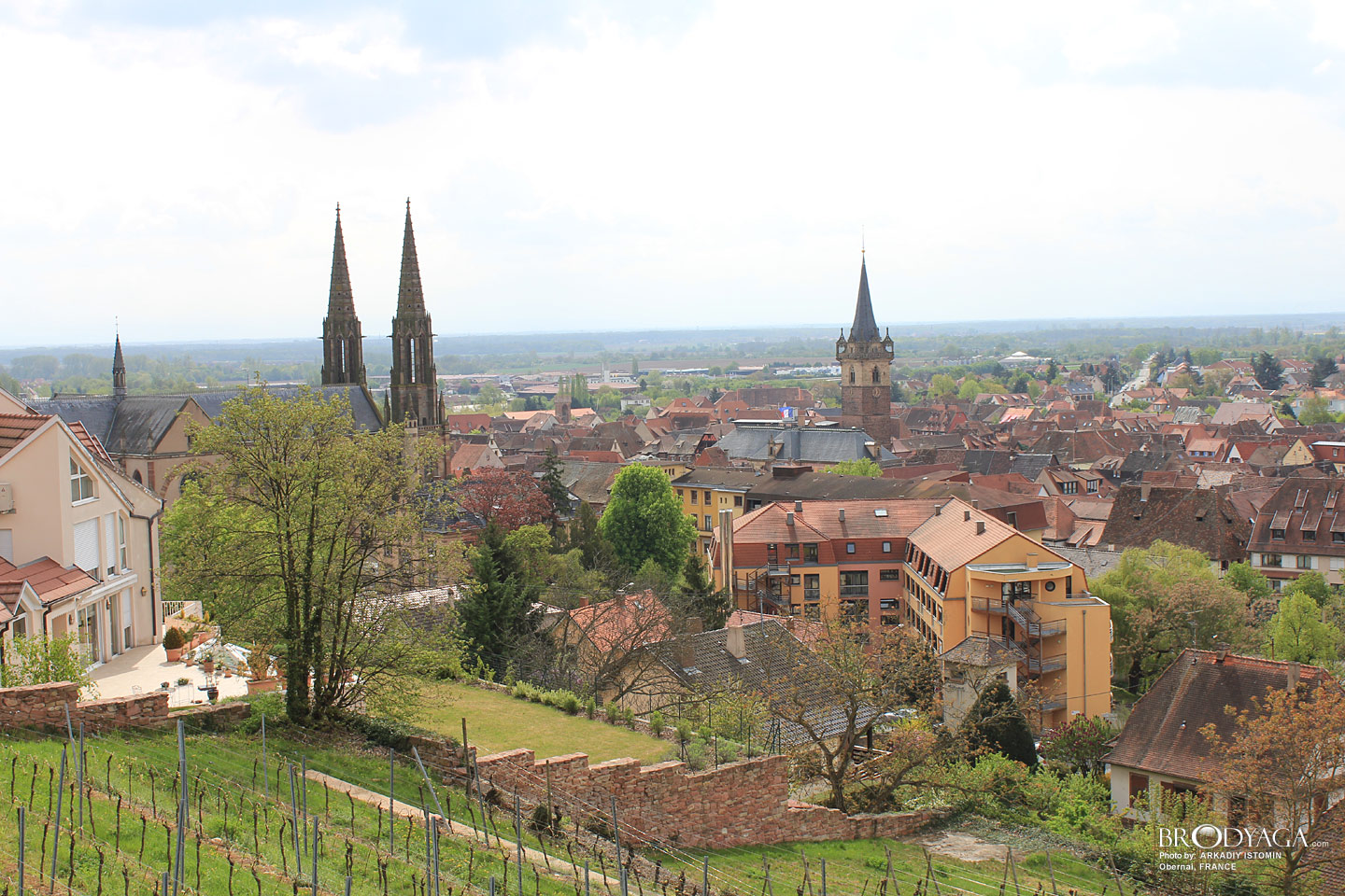 Obernai